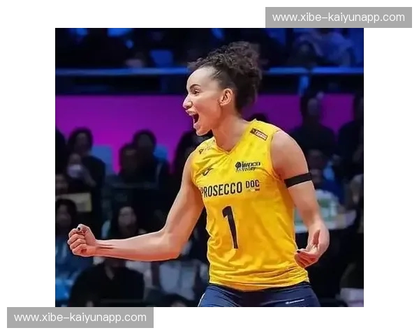 战车碾碎的荣耀，斗牛士的血与泪——2014巴西世界杯荷兰vs西班牙的史诗对决